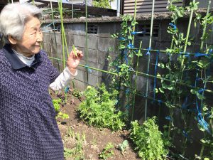 センター裏には和子ファームあり。小さいけれど和子母の手入れよく、ふかふかの良い土地です。